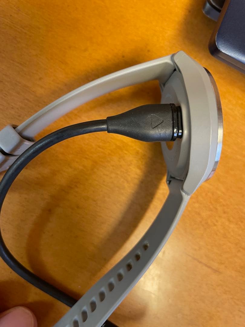 GARMIN(ガーミン) ゴルフナビ GPS Approach S40 グレー