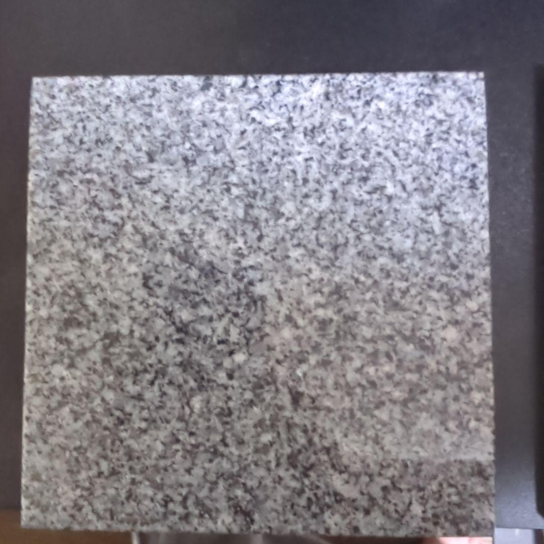 ELITE ES10 zonotone　オマケつき　polk