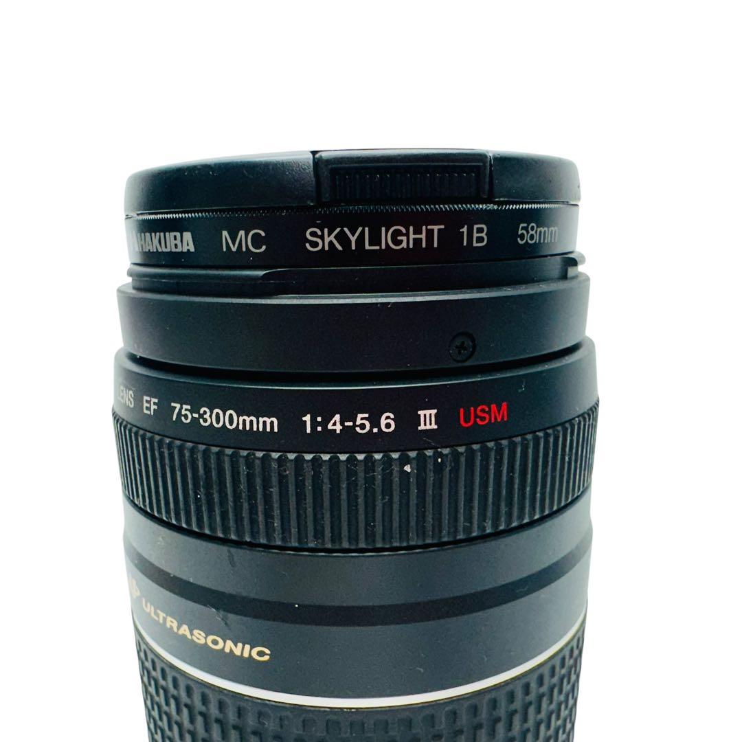 Canon キャノン ズームレンズ　EF 75-300mm