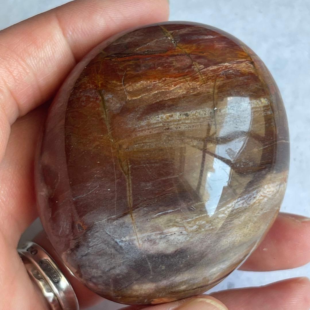 ペトリファイド ウッド パー握り石 珪化木 マダガスカル産