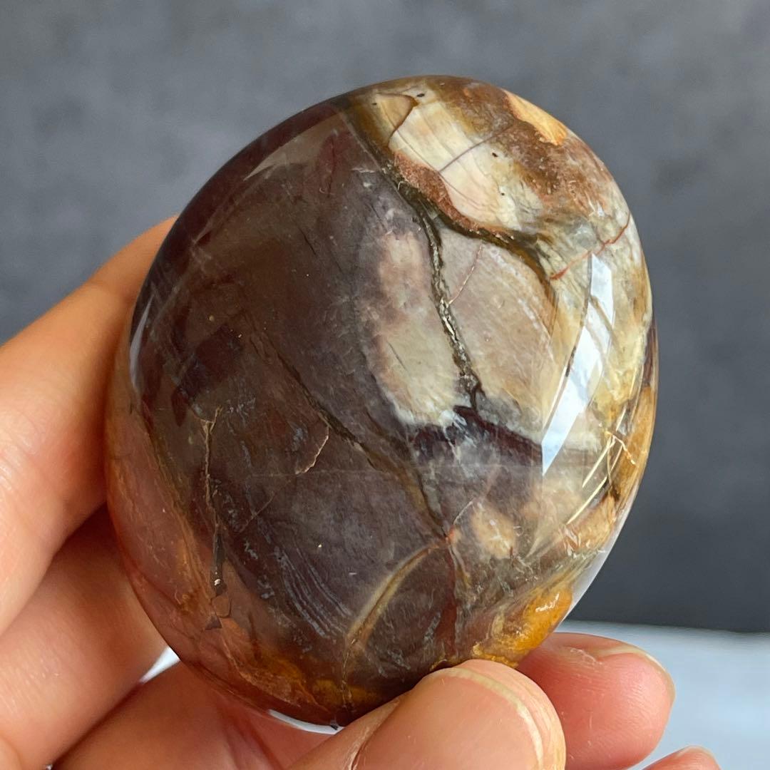 ペトリファイド ウッド パー握り石 珪化木 マダガスカル産