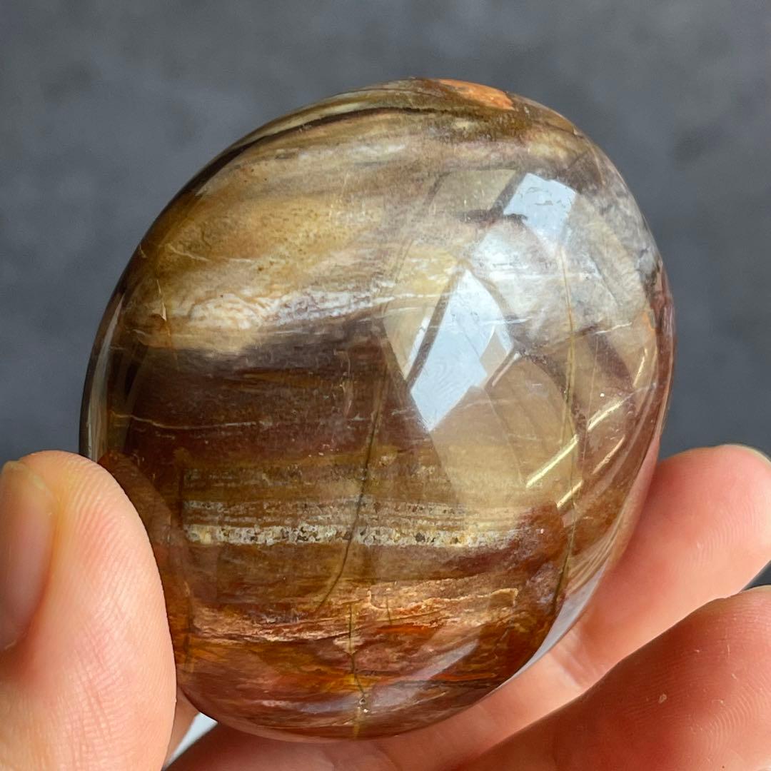 ペトリファイド ウッド パー握り石 珪化木 マダガスカル産