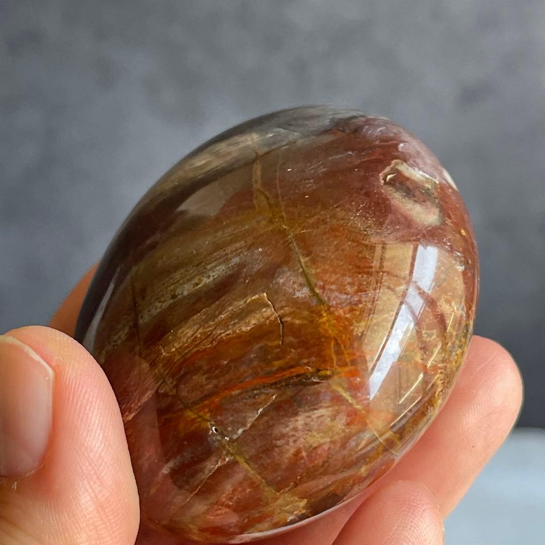 ペトリファイド ウッド パー握り石 珪化木 マダガスカル産