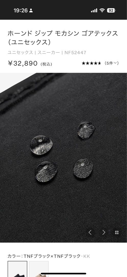 THE NORTH FACE/ホーンド ジップ モカシン ゴアテックス