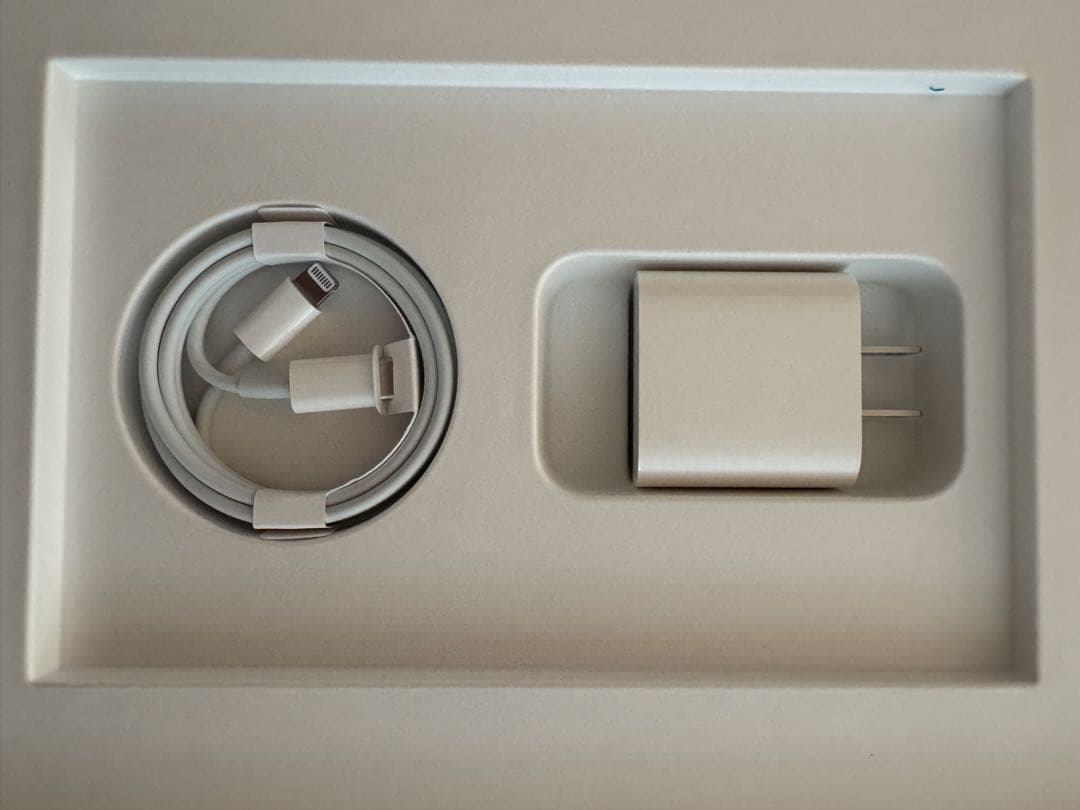 Apple iPad(第9世代) 10.2インチ Wi-Fiモデル　シルバー