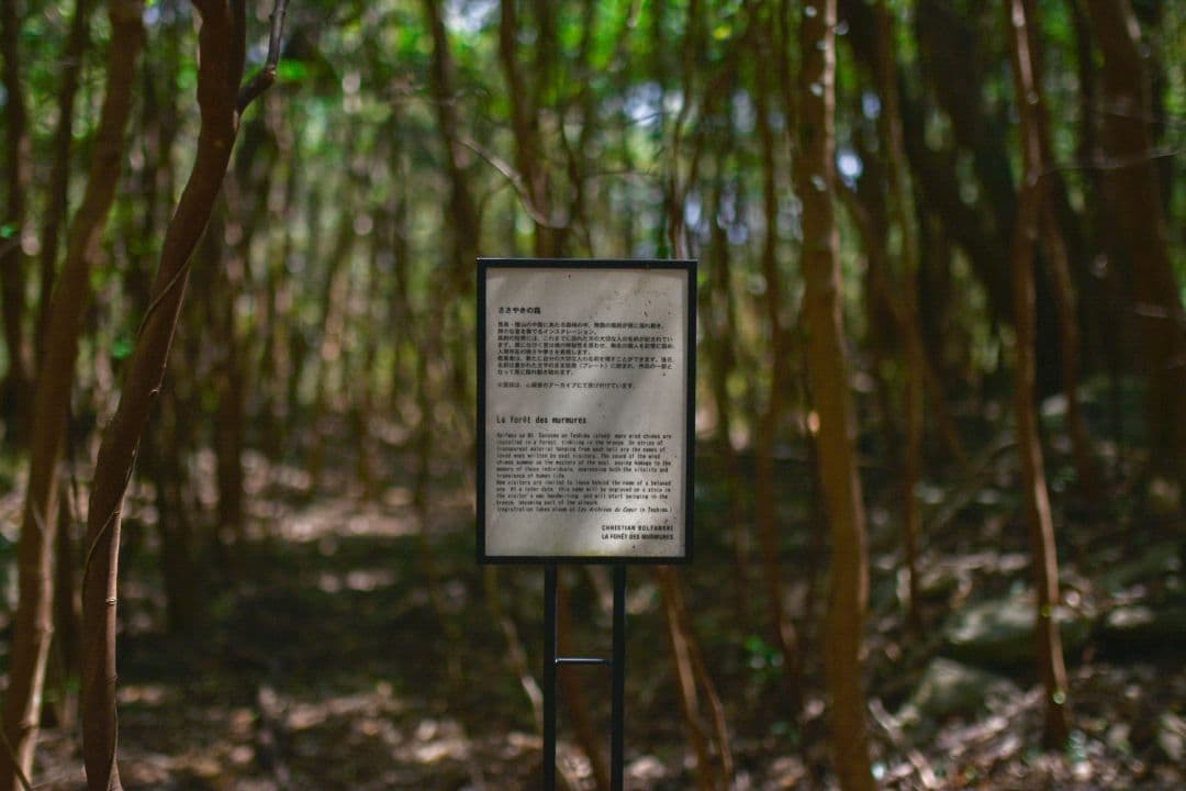 【美品】レンズ 35mm F1.4 DG HSM [ニコン用]