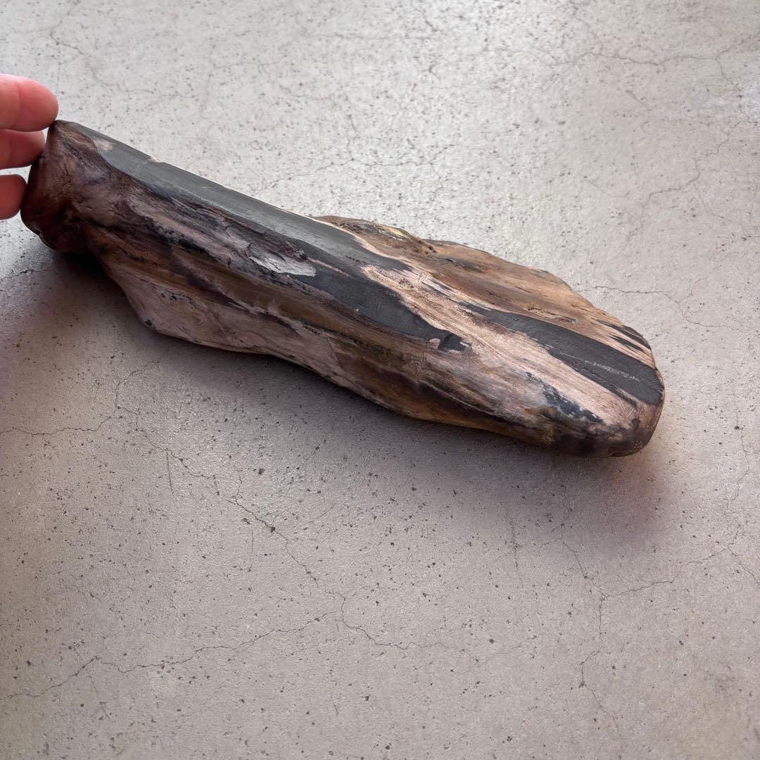【週末限定SALE】珪化木（木の化石） ペトリファイドウッド