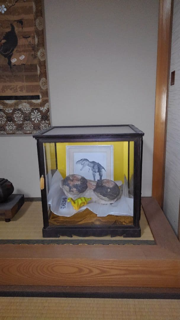 恐竜の卵　1億年前の天然化石