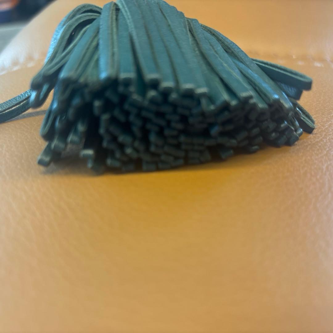 カルメン　グリーン