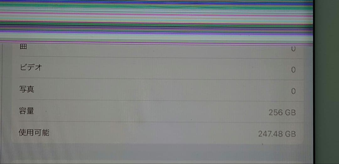 ま*ら様 ジャンク iPad mini5 本体 第5世代 256GB