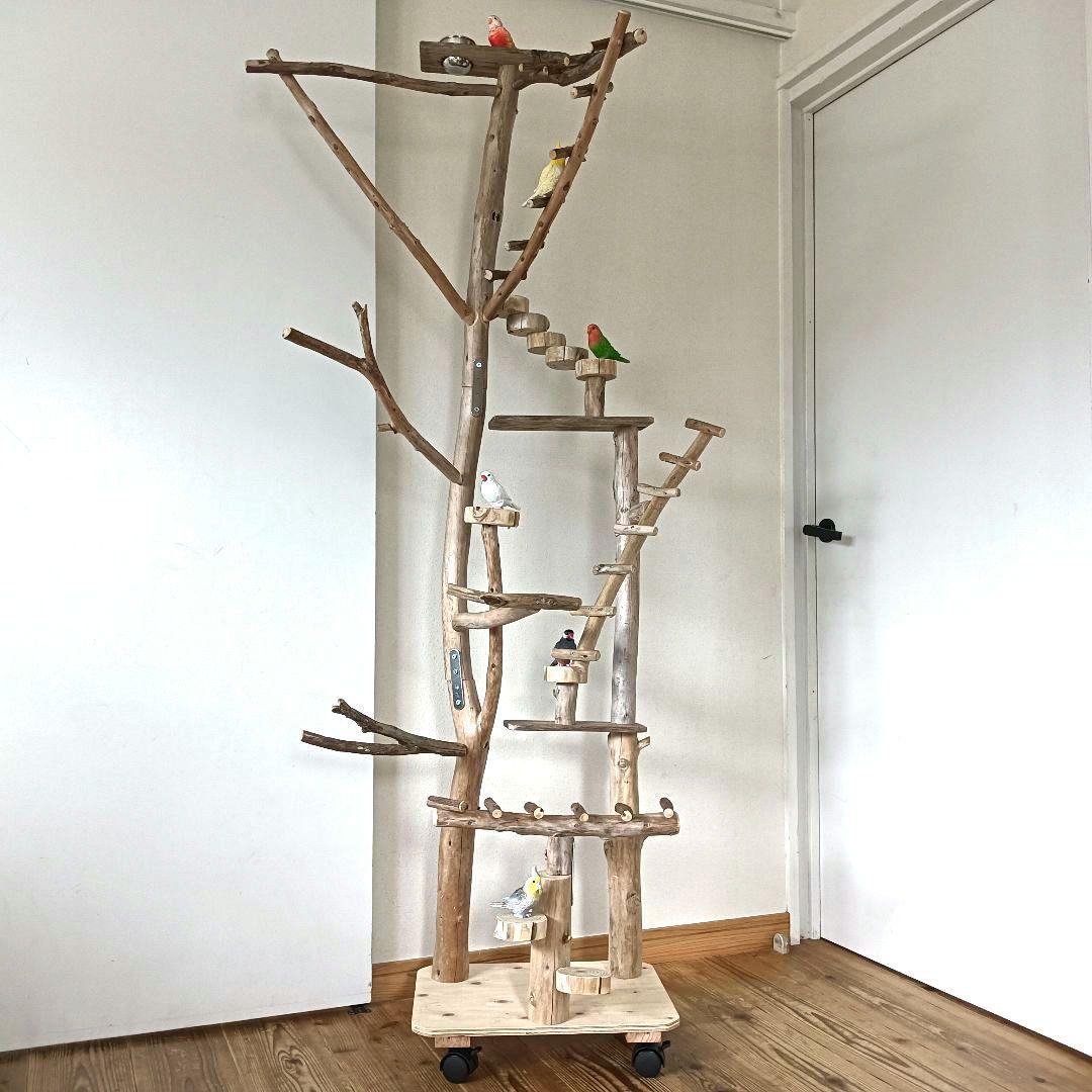 バードアスレチックジム大型 ⑫ 天然木 自然木 流木 インコ おもちゃ
