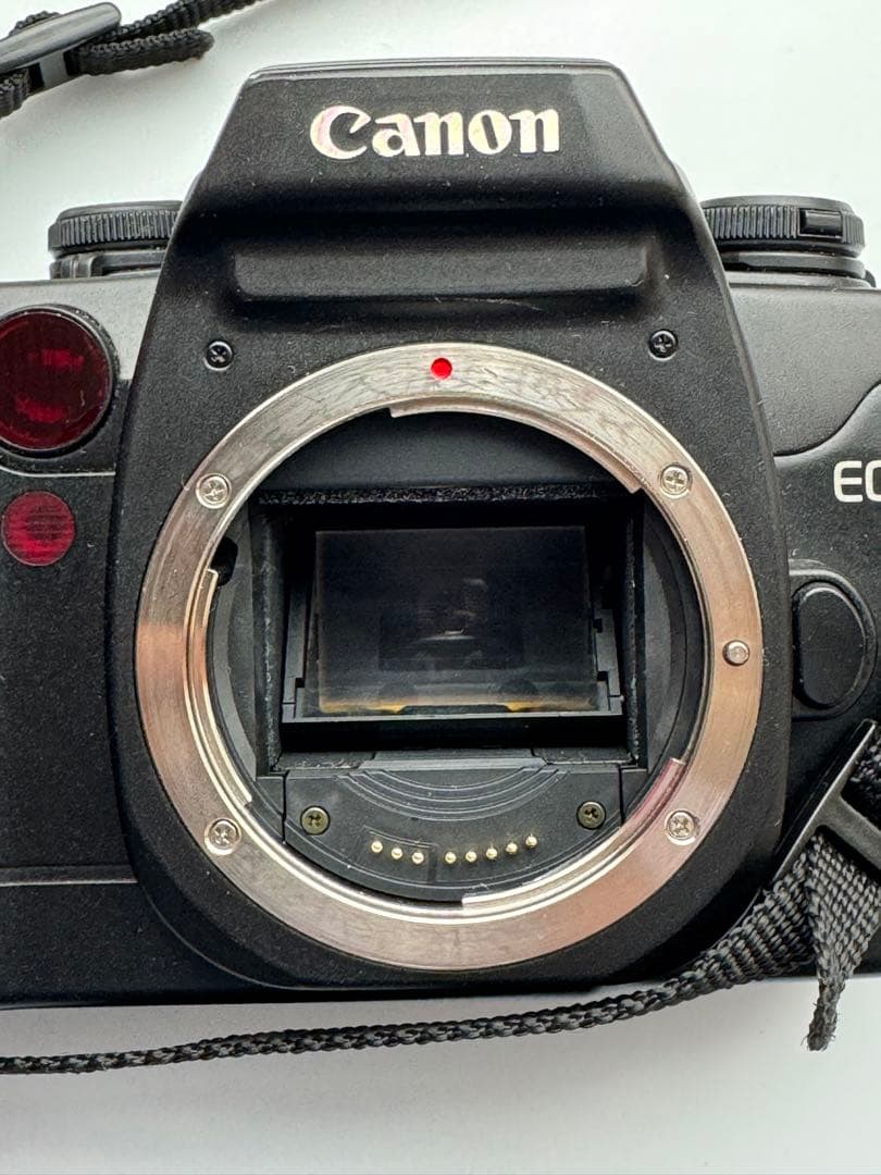 【フィルムカメラ】Canon EOS55とカメラグリップBP-50