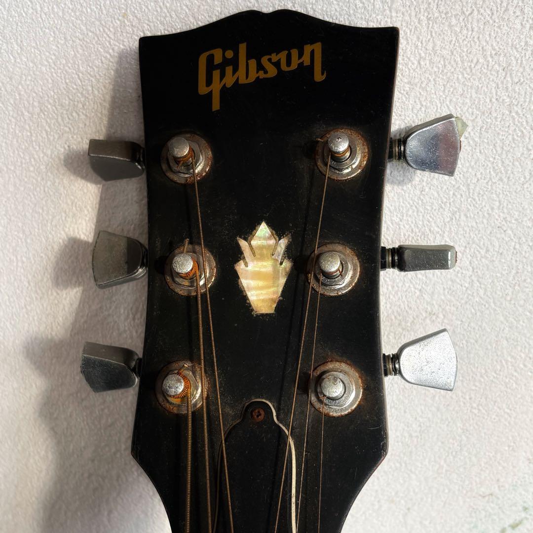 黒沢楽器&長野楽器 DOVEモデル(送料込)