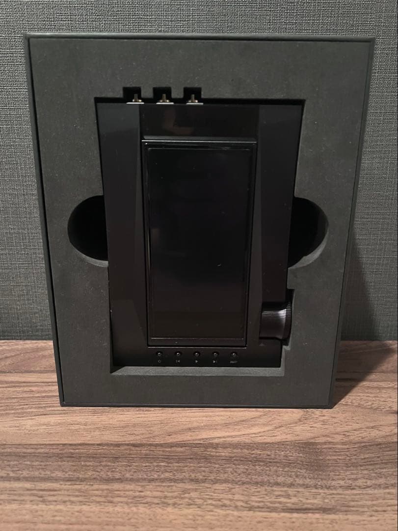 Astell&Kern アステル&ケルン　ACRO CA1000T