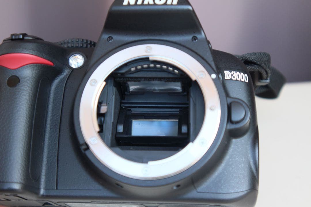Nikon D3000 動作品　充電器付