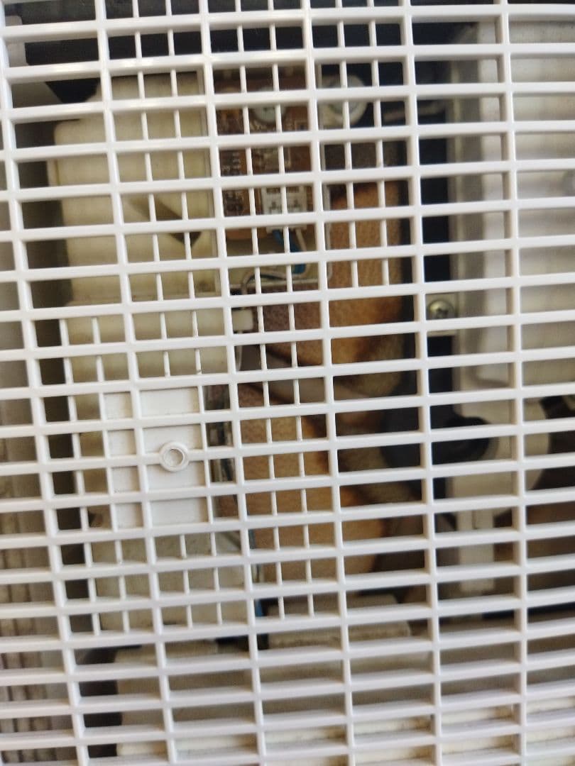 Panasonic 衣類乾燥除湿機 F-YZRX60 パナソニック ナノイー搭載