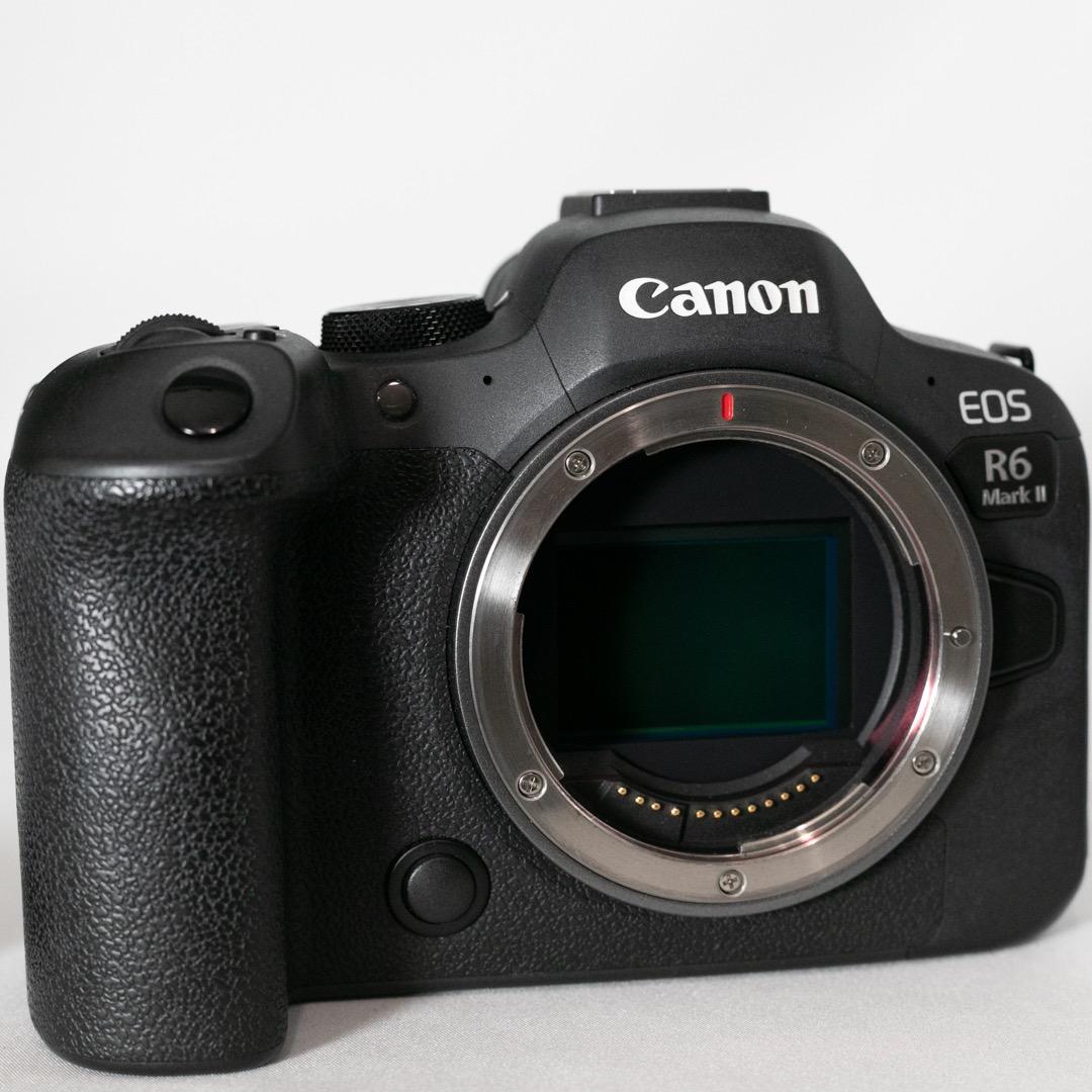 キヤノン EOS R6 MarkII リグ2種セット 付属品あり