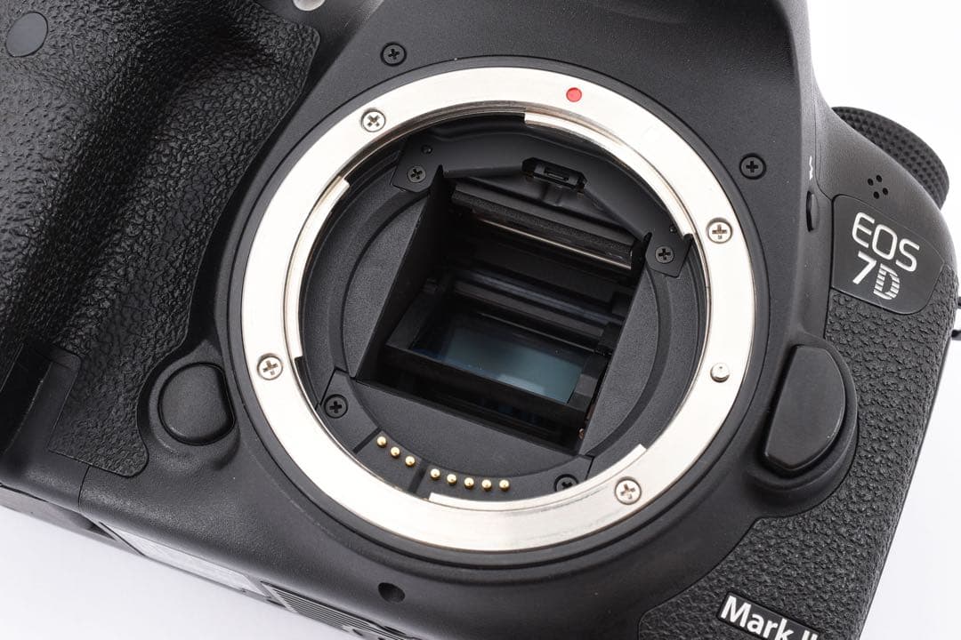 Canon EOS 7D MarkⅡ標準&望遠ダブルレンズセット