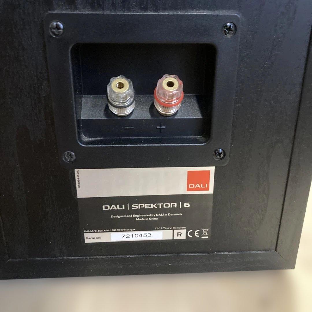 【美品】DALI ダリ　SPEKTOR 6 左右セット
