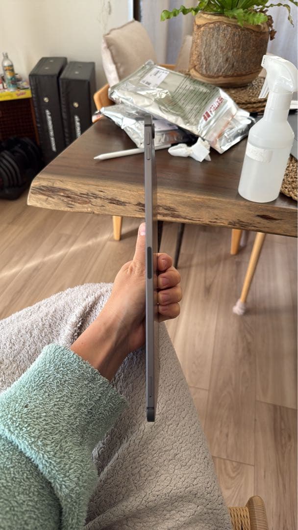 Apple iPad Pro 11インチ (第1世代) 本体セット