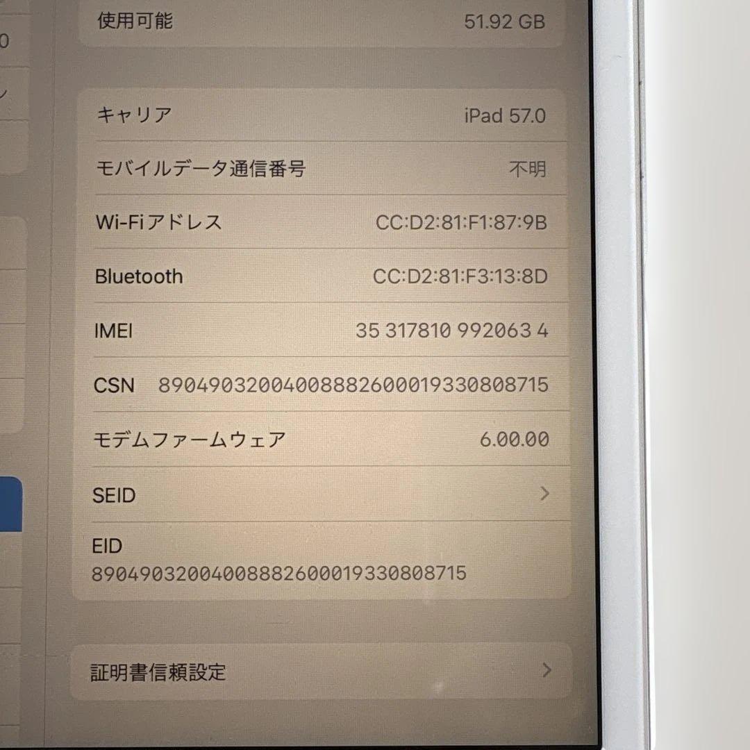 【特価】iPad mini5 セルラー 64GB SIMフリー (57)