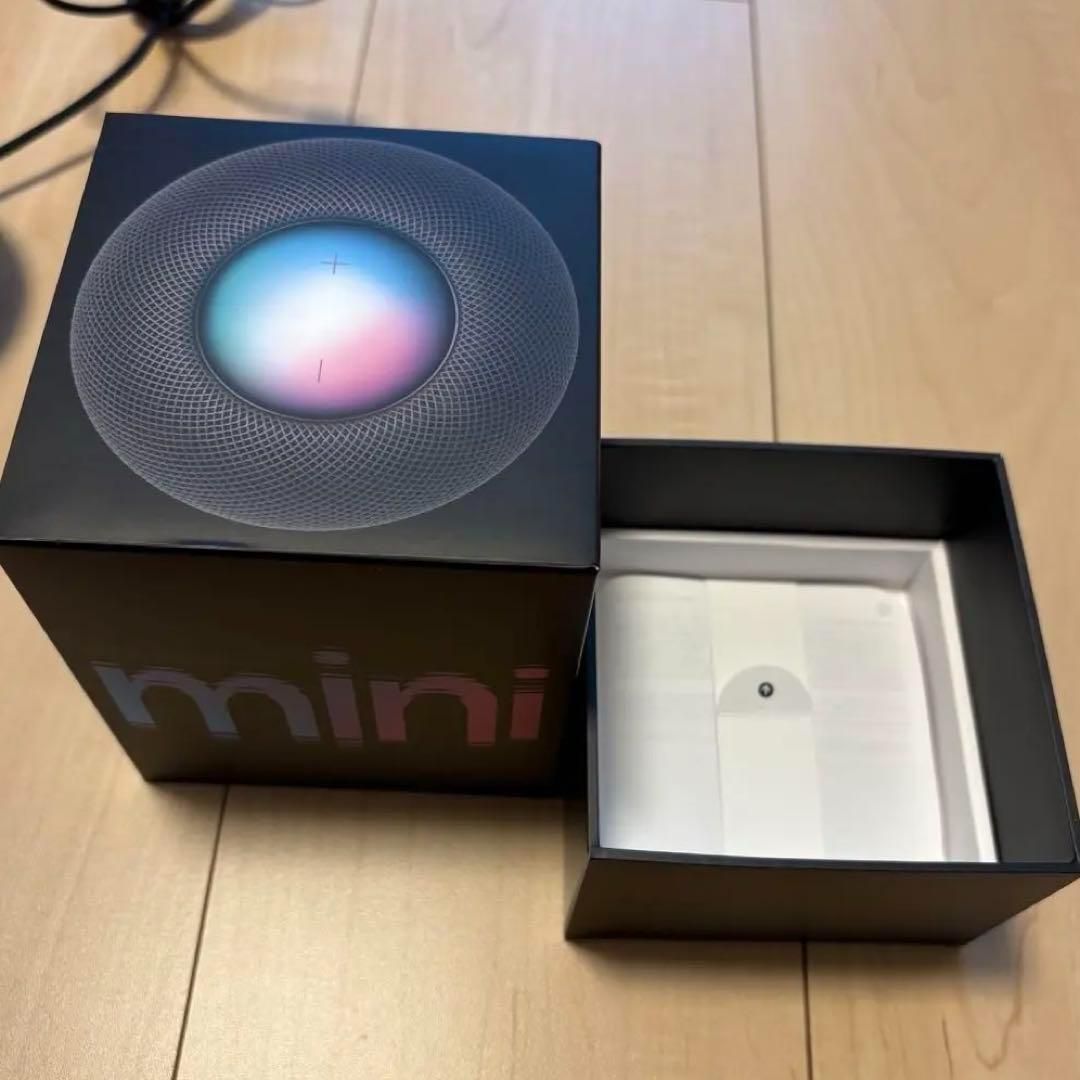 Pod mini スペースグレー　箱付き Apple