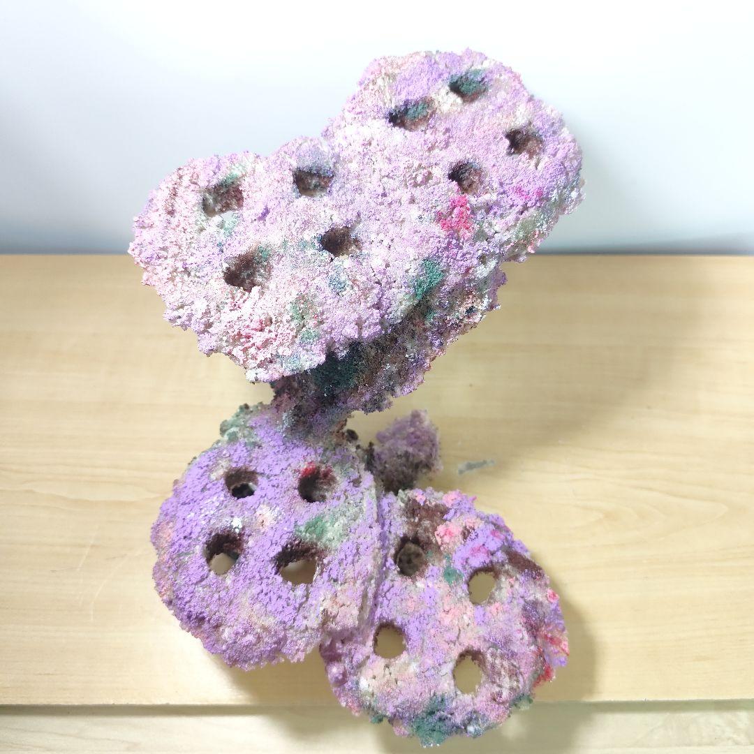 プラグ穴付き アク抜き不要人工ライブロック 海水水槽 レプリカ コーラルフラグ3