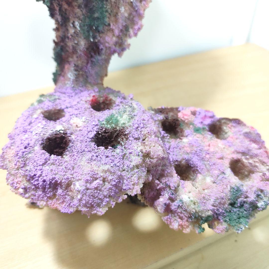 プラグ穴付き アク抜き不要人工ライブロック 海水水槽 レプリカ コーラルフラグ3