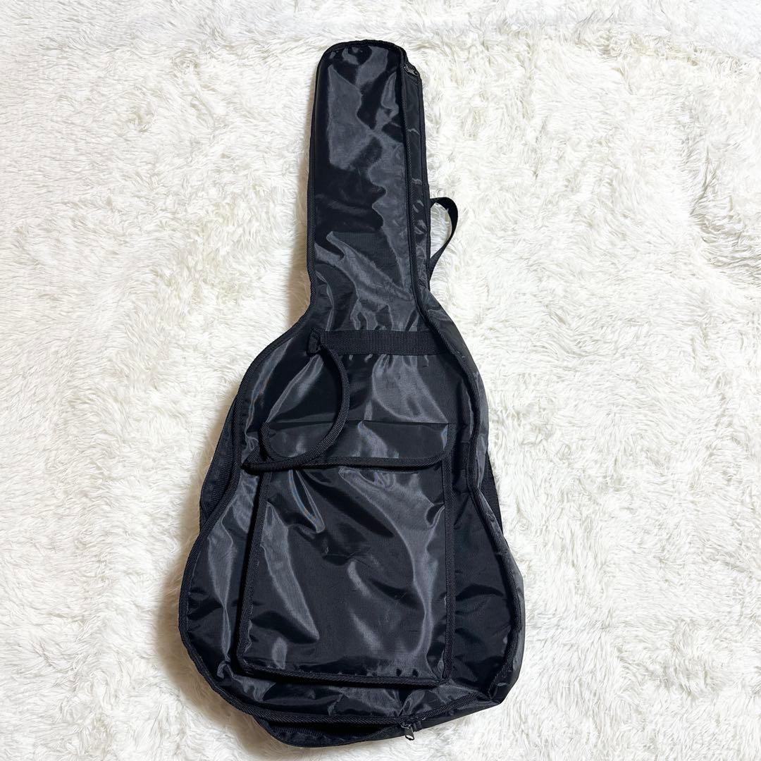 Aria アコースティックギター ARIA-101MTN ナチュラル ケース付き