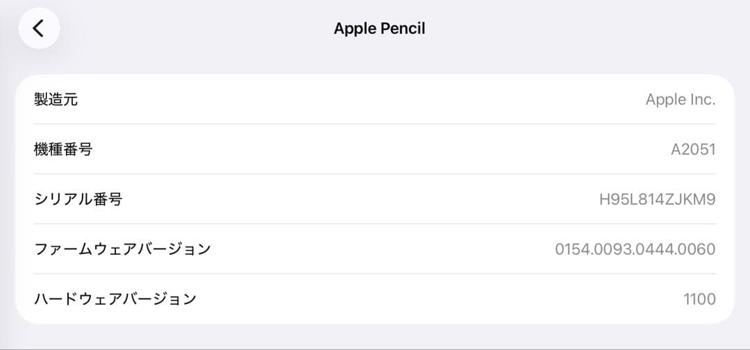極美品　2024年1月購入　Apple Pencil 第2世代　MU8F2J/A