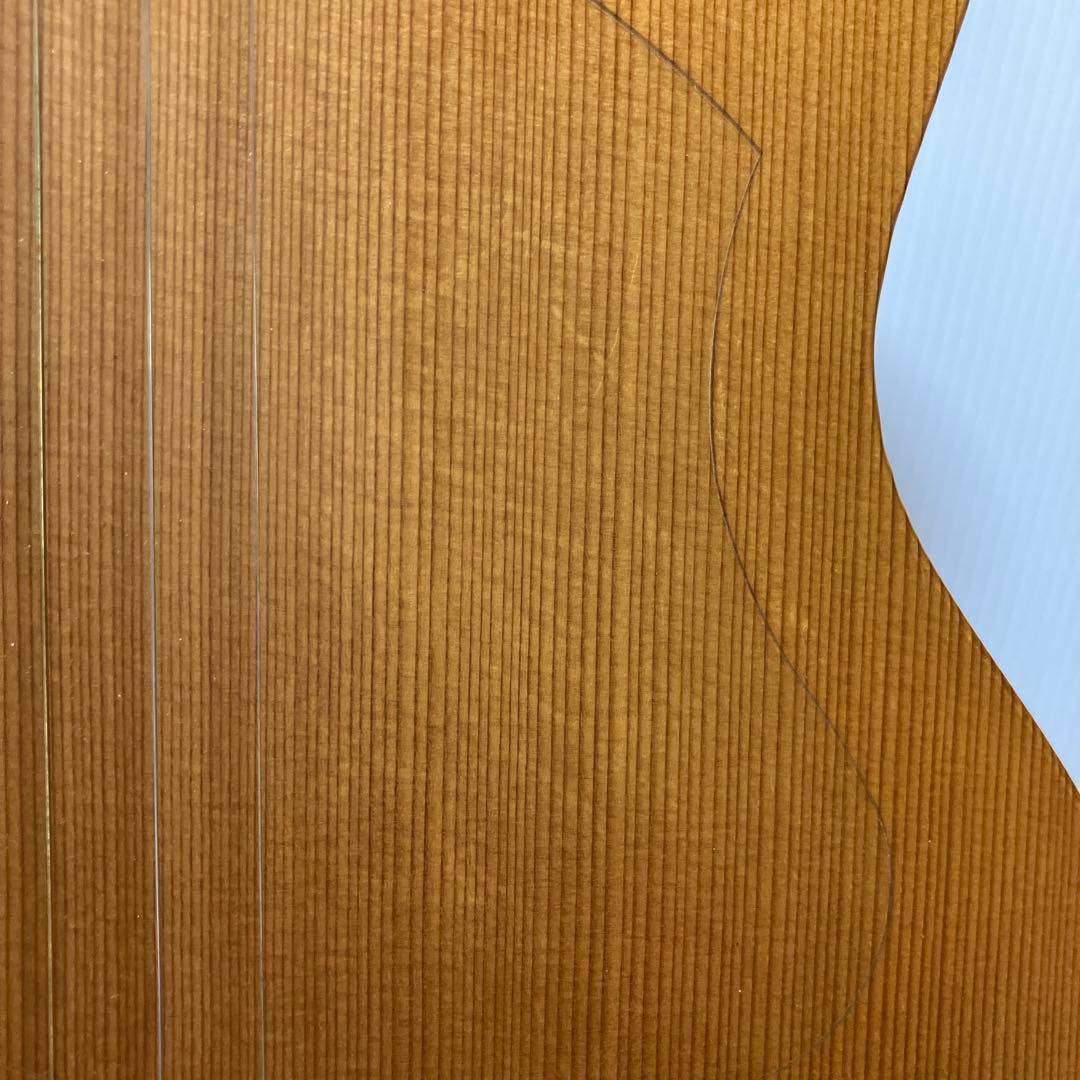 TACOMAタコマ C1C エレアコ ⭕️商品の説明は必ずお読みください