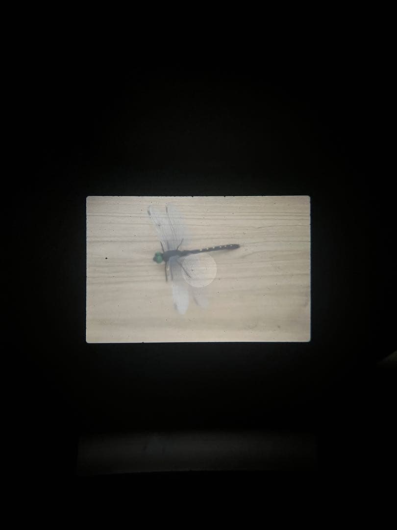 Mamiya ZE-X フィルム一眼レフカメラ 50mm EFf1.4レンズ付き