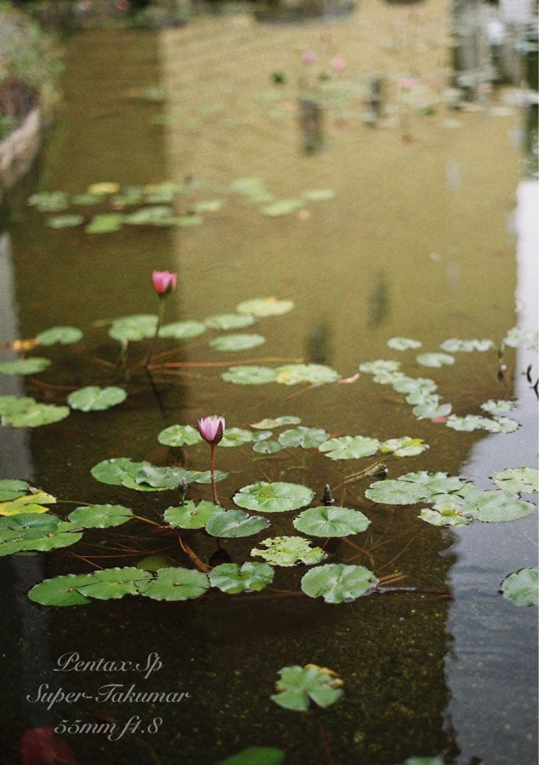 pentax sp＊純正カメラバッグ付き＊フルセット＊完動品＊美品＊初期保証