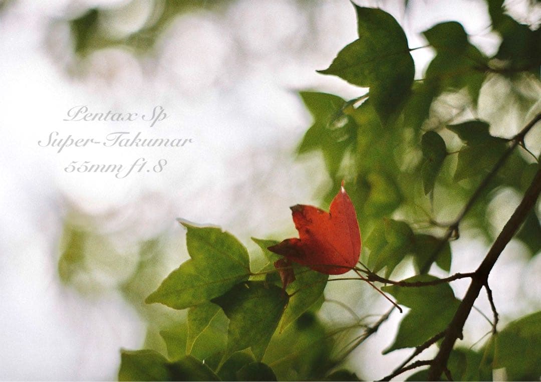 pentax sp＊純正カメラバッグ付き＊フルセット＊完動品＊美品＊初期保証