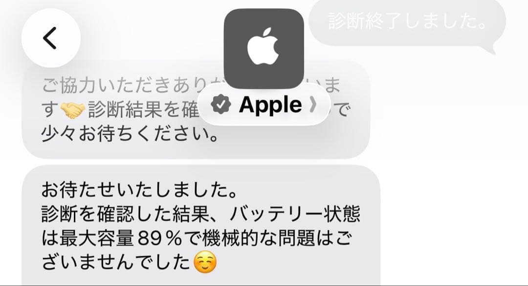 【so♡様】【iPad × ApplePencil 】セット売り