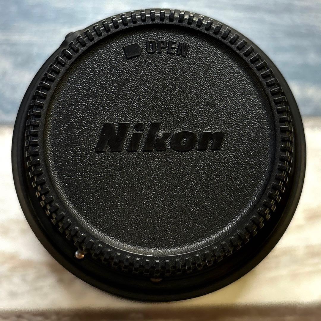 Nikon 広角ズームレンズ AF-P DX NIKKOR 10-20mm