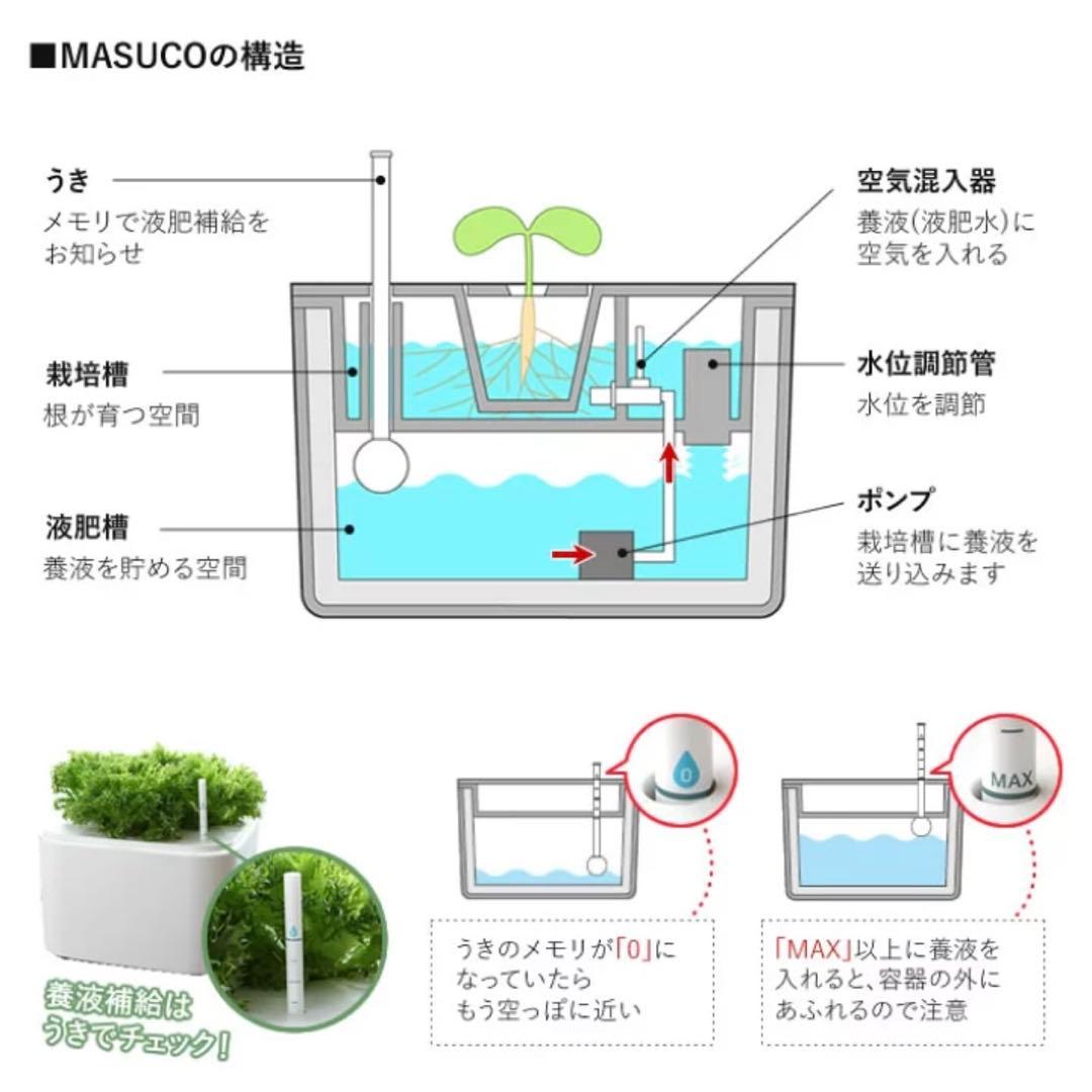 協和 ホームハイポニカ MASUCO 水耕栽培