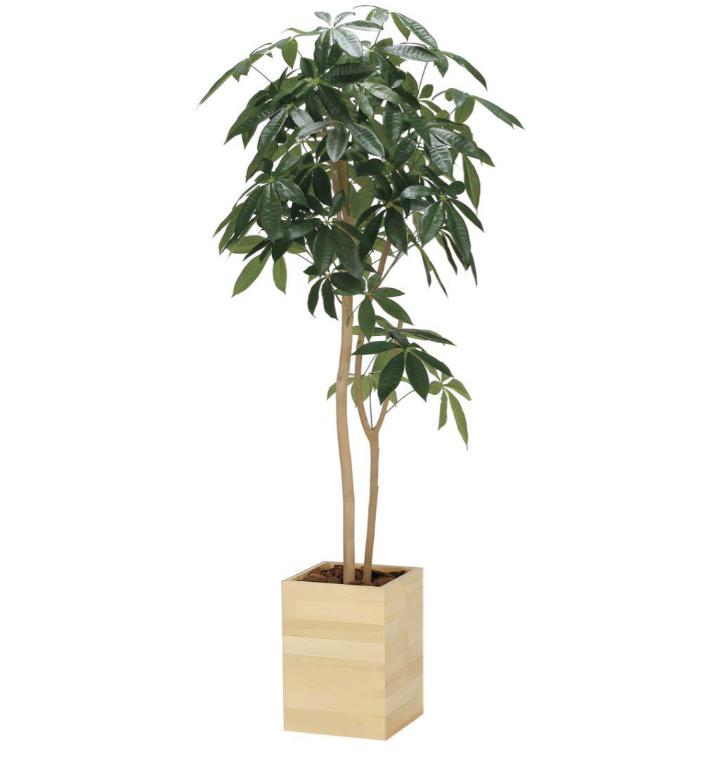 光触媒　人工観葉植物　フェイクグリーン　ウッドボックスパキラ1.6m