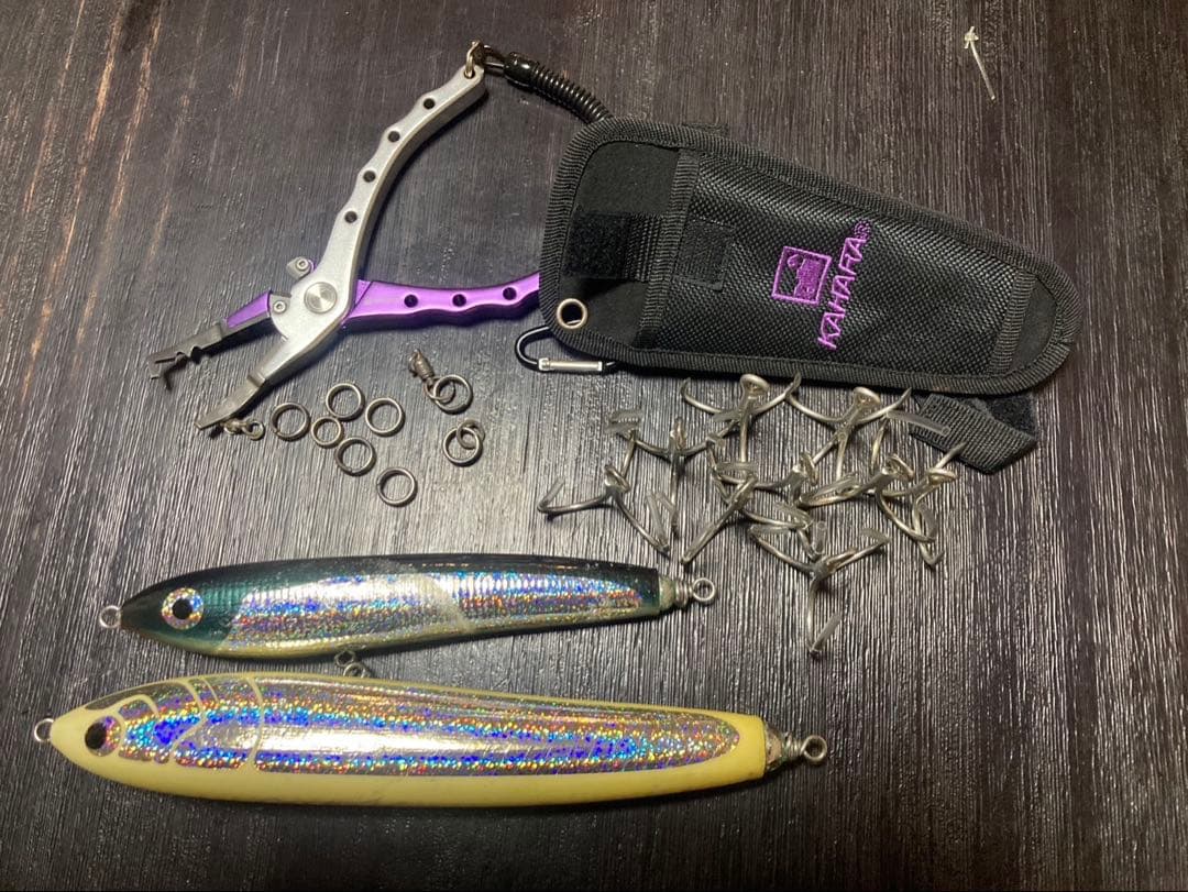 釣*屋様 カーペンター　ガンマ　希少カラー