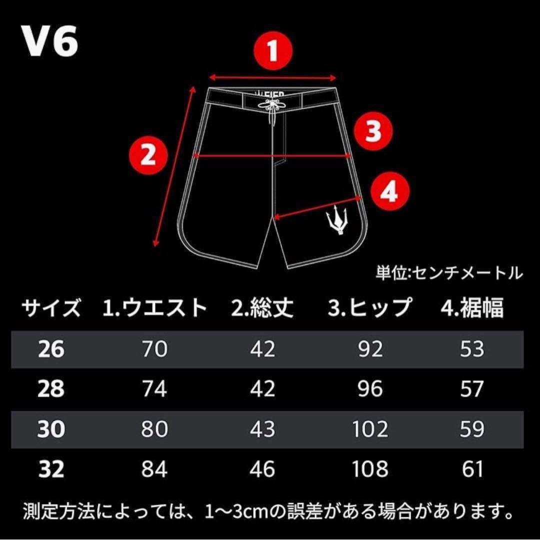 FIED ファイド　サーフパンツ　水着 ホワイト ストライプ　フィジーク　S