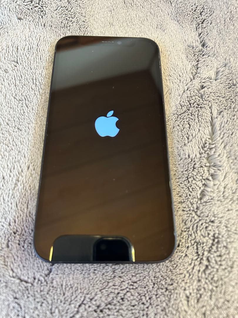 Apple iPhone 12mini 64GB 本体　SIMフリー　初期化済み