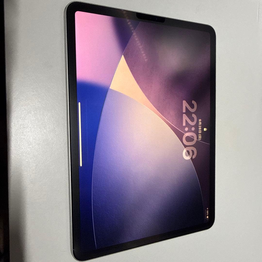 iPad Pro 11インチ256(第一世代)Apple pencil(第二)