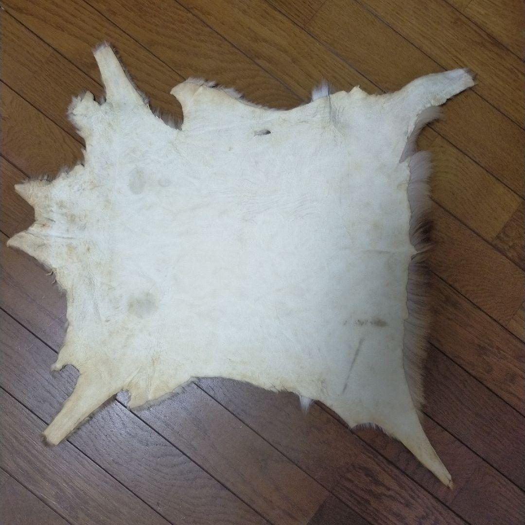 五月人形 鎧兜/節句人形 ①