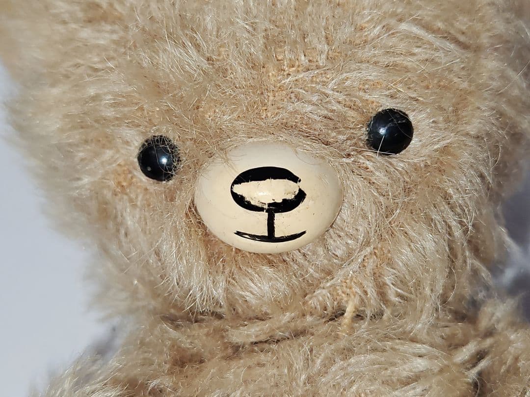 レア！ DDRベア テディベア 小ぶりなモフモフっ子 ʕ•ᴥ•ʔ