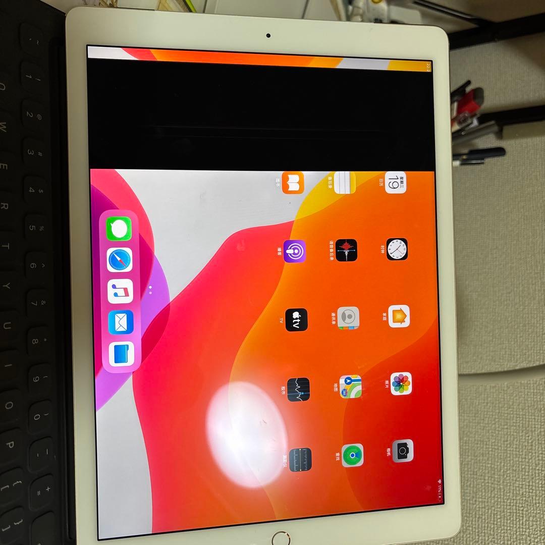 iPad本体 iPad Pro 12.9 256GB