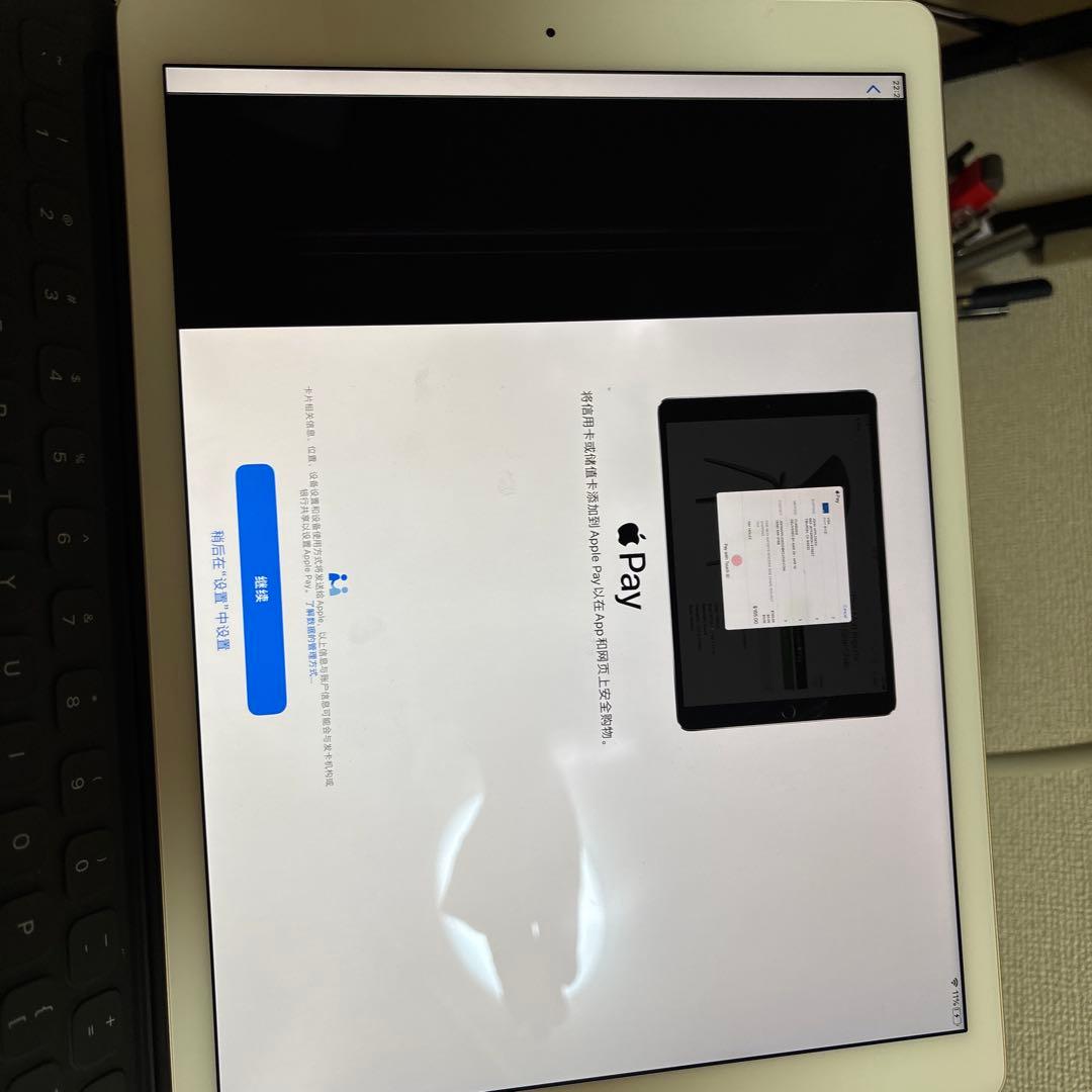 iPad本体 iPad Pro 12.9 256GB