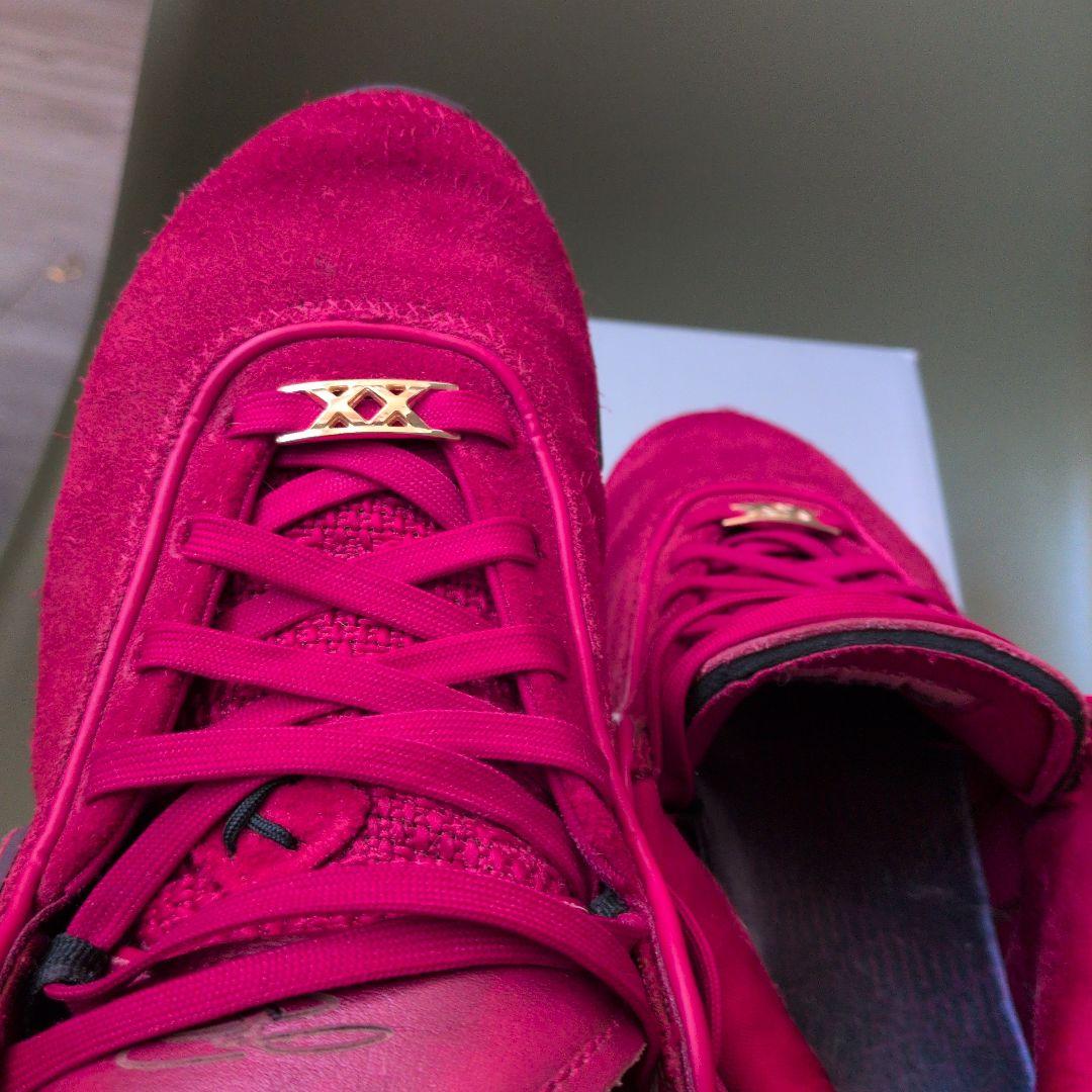 NIKE レブロン20リバプール 25cm