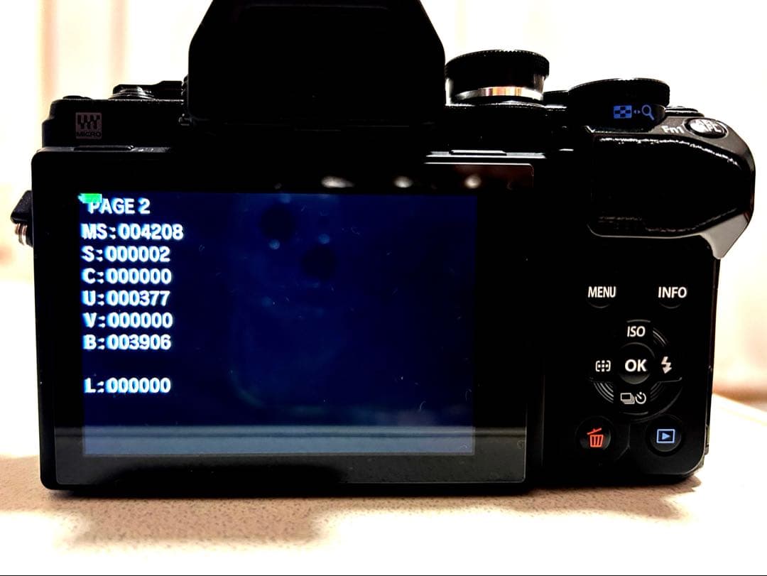 【極美品】OLYMPUSOM-DE-M10 Mark III ダブルズームキット