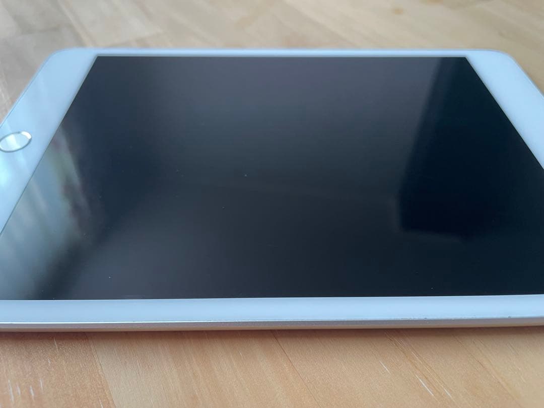 iPad本体 Apple iPad mini5