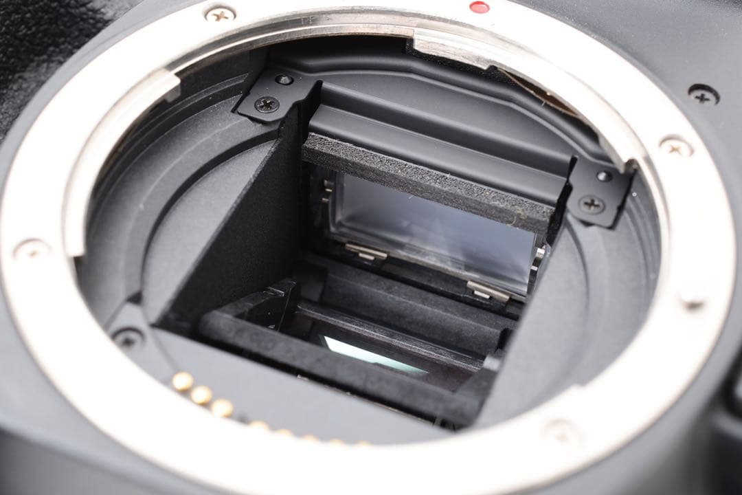 保証付き/Canon EOS 90D標準&望遠&単焦点トリプルレンズセット